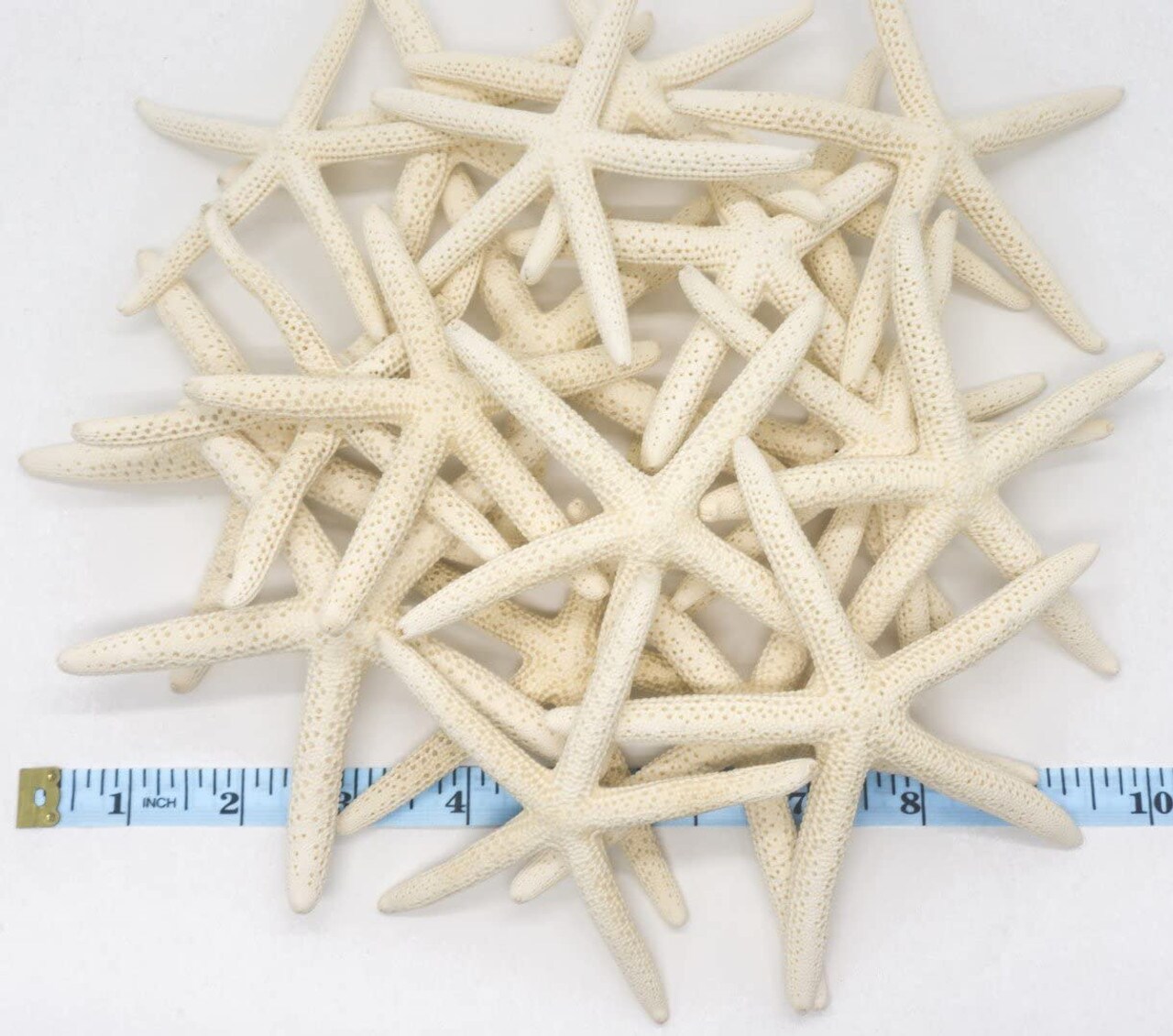 Starfish 20 Pack White Finger Starfish 4"-5" for Craft and Décor